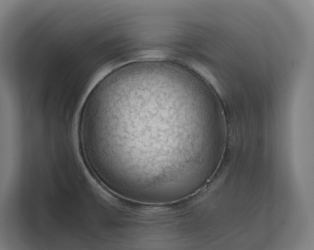 X0000112151475200908211403