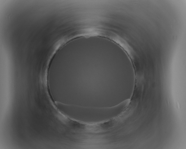X0000112151477200908211403