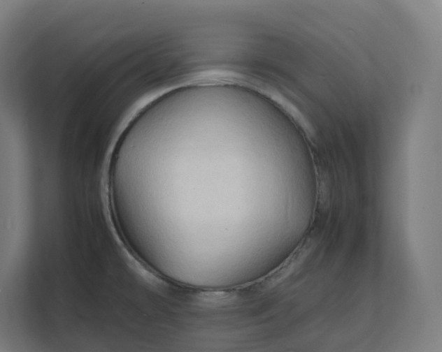 X0000112151478200908211403