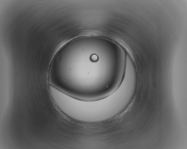 X0000112151481200908211403