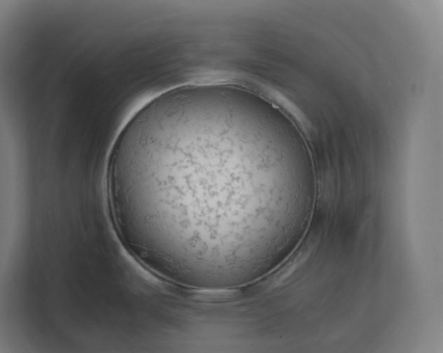 X0000112151487200908211403