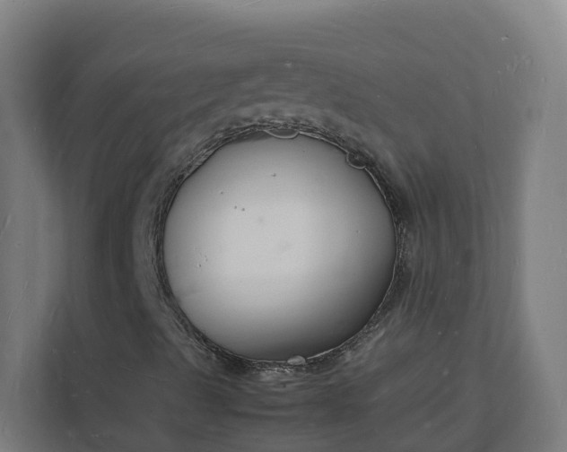 X0000112151489200908211402