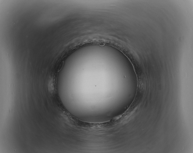 X0000112151490200908211402