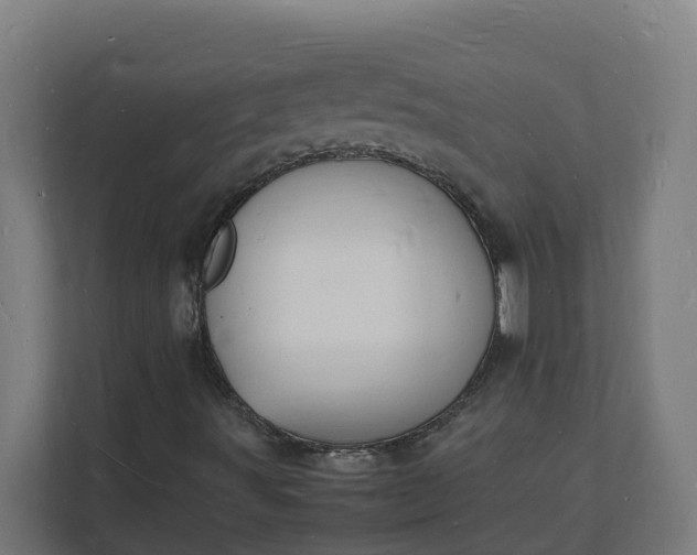 X0000112151491200908211403