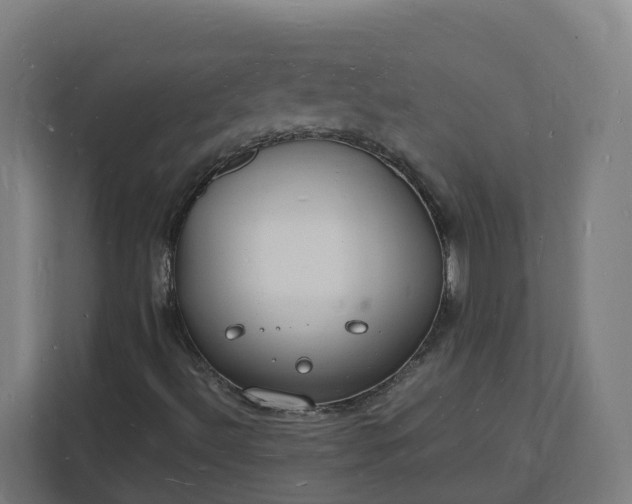 X0000112151492200908211403