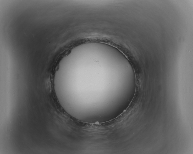 X0000112151493200908211403