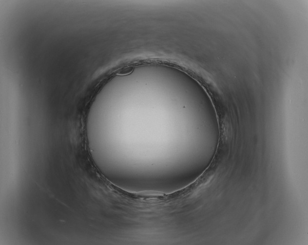 X0000112151494200908211403