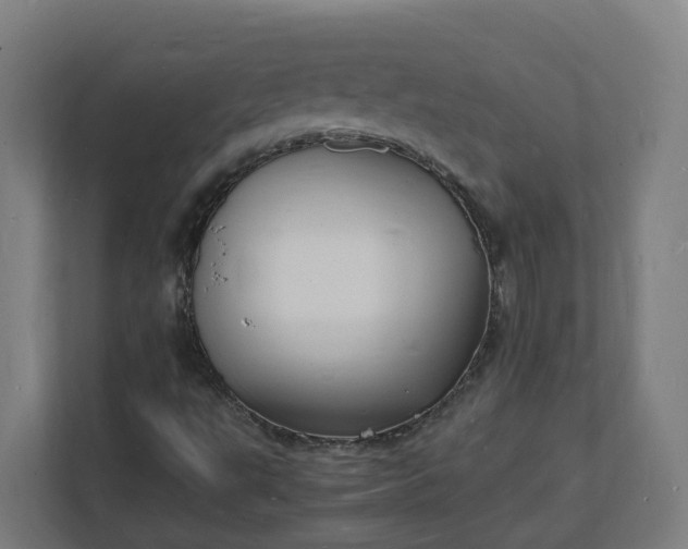 X0000112151495200908211403
