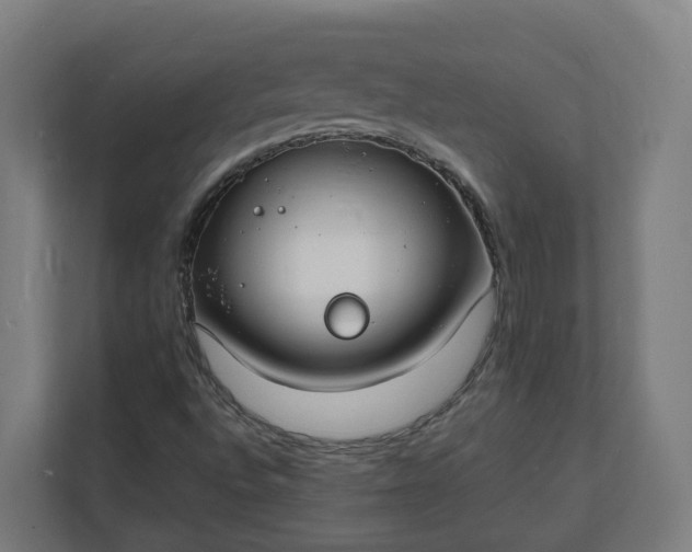 X0000112151496200908211403