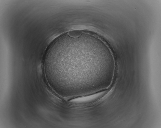 X0000112151497200908211403