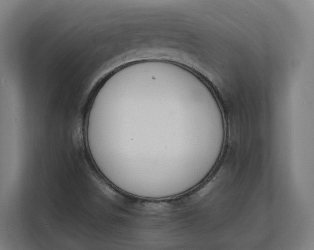 X0000112151498200908211403