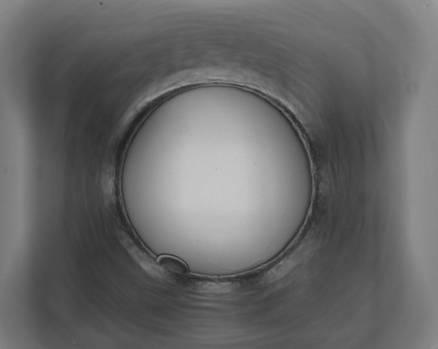 X0000112151499200908211403