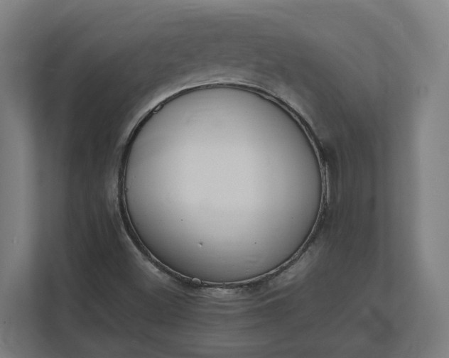 X0000112151500200908211403