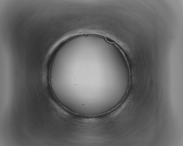 X0000112151502200908211403