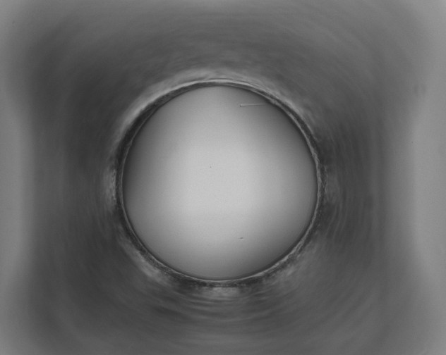 X0000112151503200908211403
