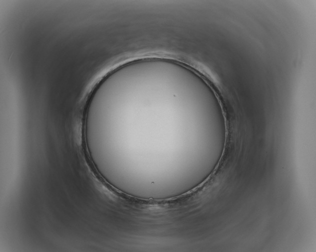 X0000112151504200908211403