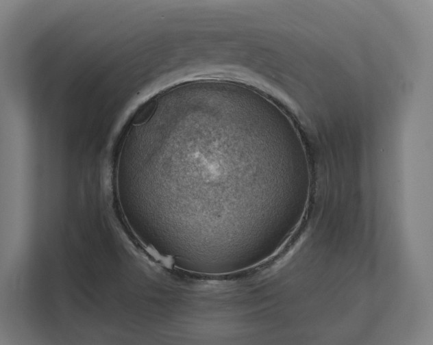 X0000112151506200908211403