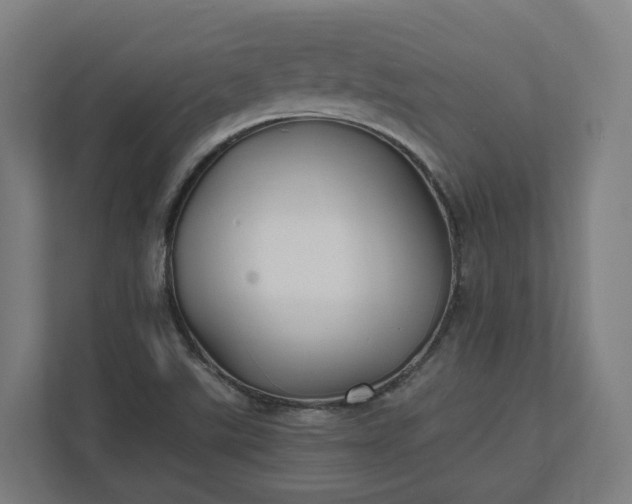 X0000112151507200908211403