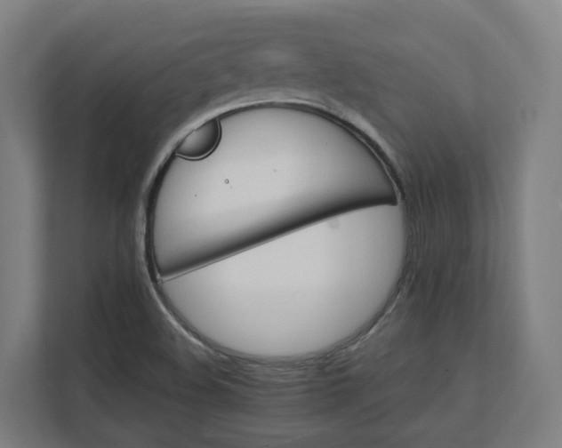 X0000112151508200908211403