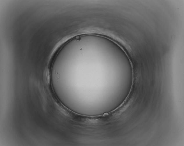 X0000112151509200908211403