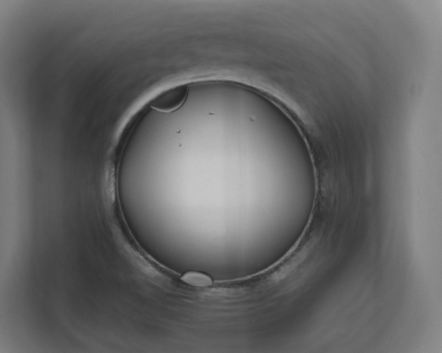 X0000112151510200908211403
