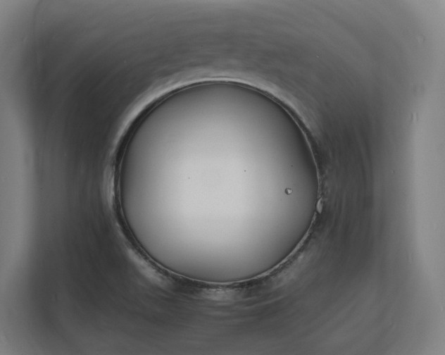X0000112151511200908211403