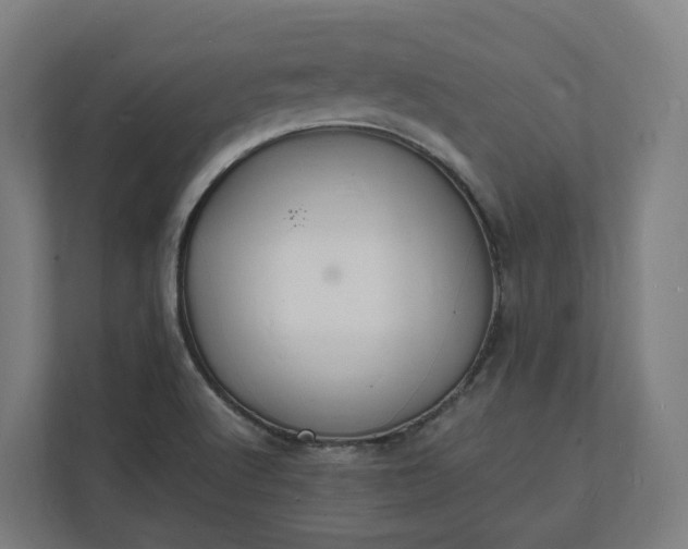 X0000112151512200908211403