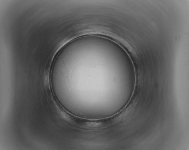 X0000112151513200908211403