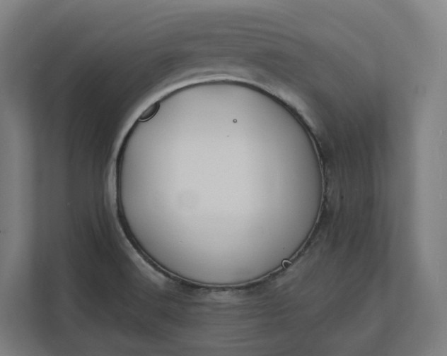 X0000112151516200908211403