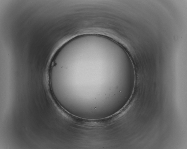 X0000112151517200908211403