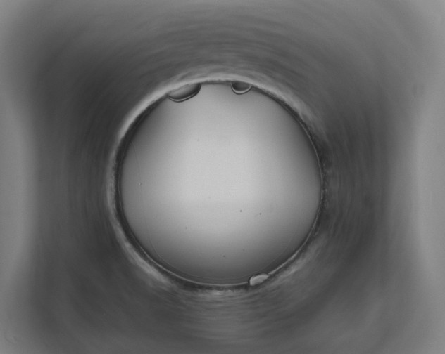 X0000112151518200908211403