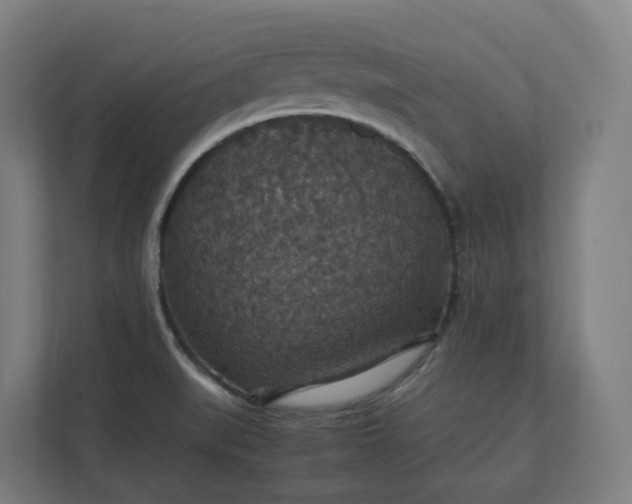 X0000112151519200908211403