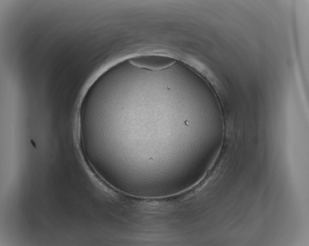X0000112151520200908211403