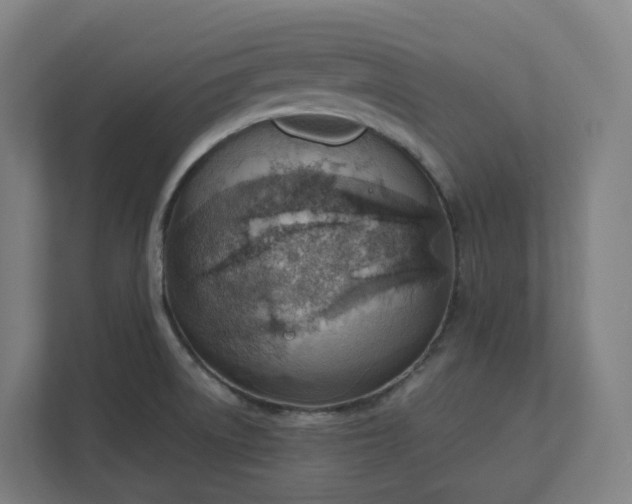 X0000112151522200908211403