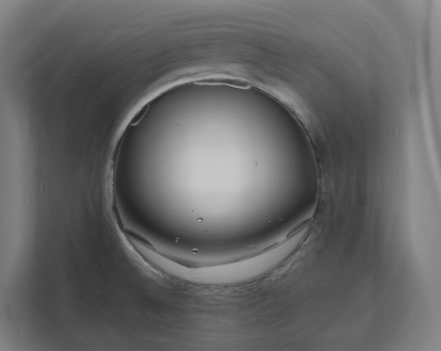 X0000112151524200908211403