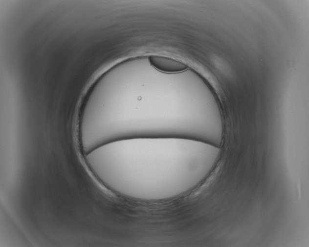 X0000112151525200908211403