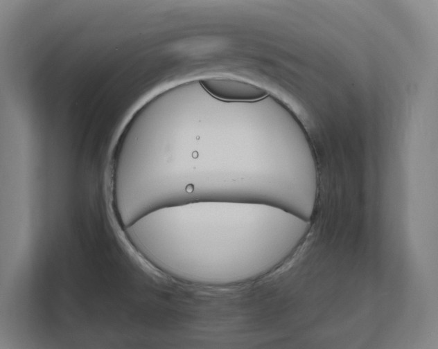 X0000112151526200908211403