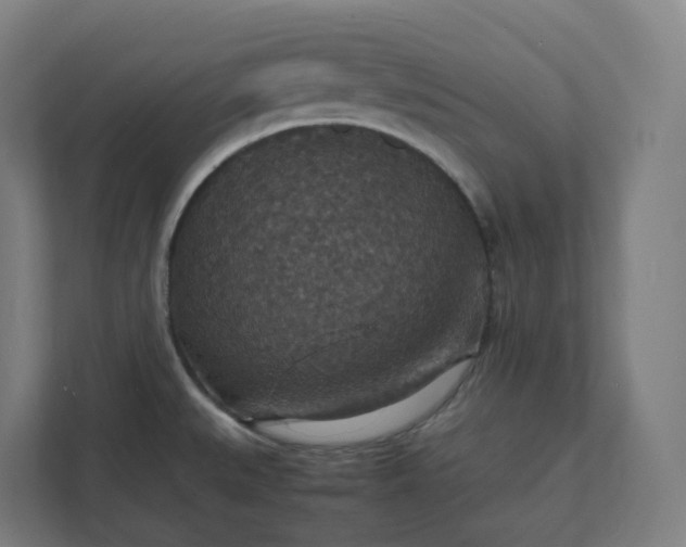 X0000112151527200908211403