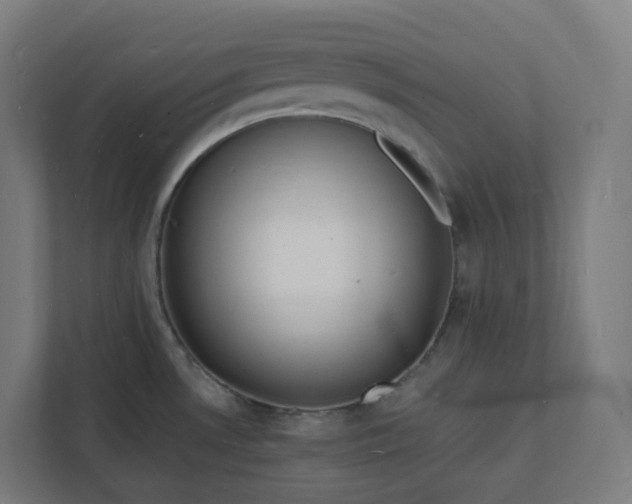 X0000112151530200908211403
