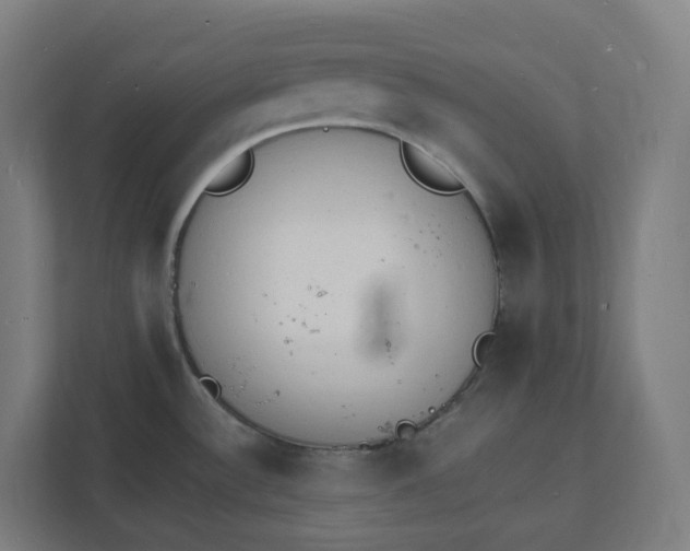 X0000112151532200908211403