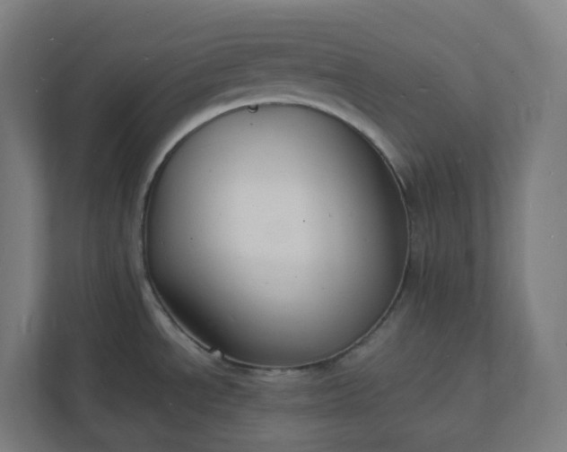 X0000112151534200908211403