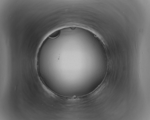 X0000112151535200908211403