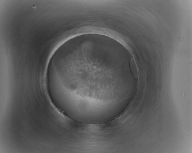 X0000112151536200908211403