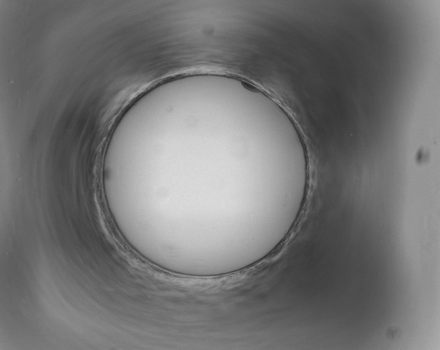 X0000112150001200908281351