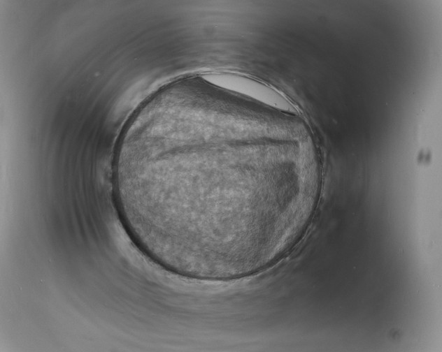 X0000112150002200908281351