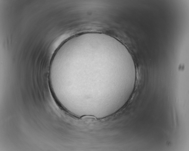 X0000112150003200908281351