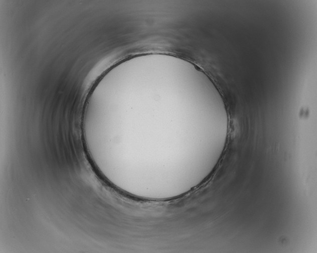 X0000112150004200908281350