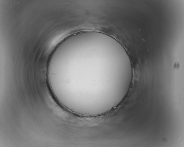 X0000112150005200908281350