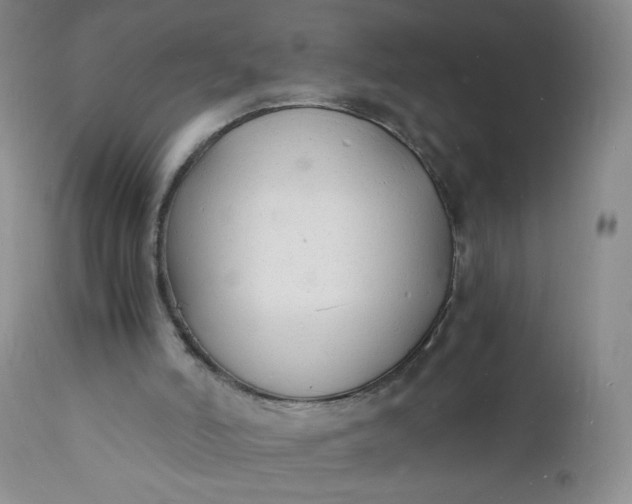 X0000112150006200908281350