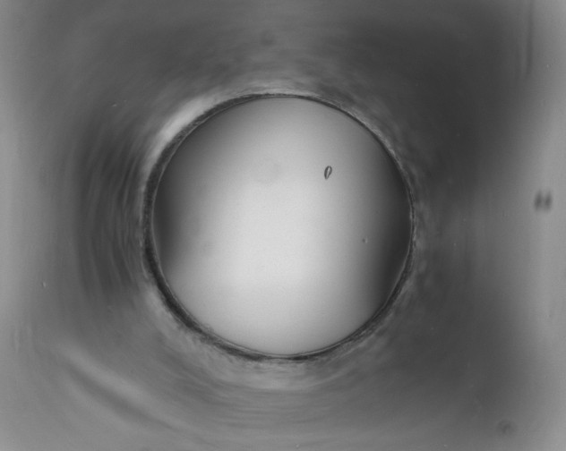 X0000112150008200908281350